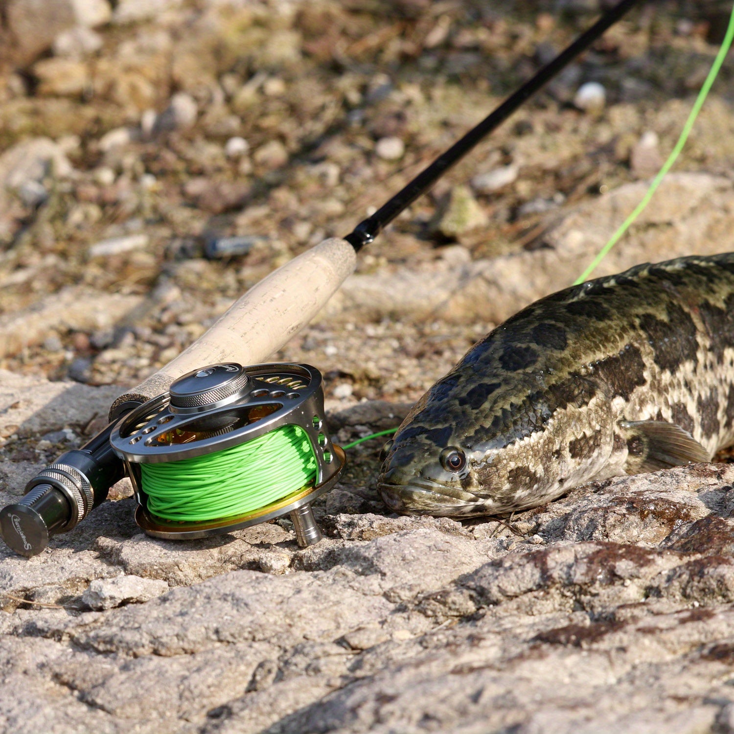 Flugfiskeset Komplett