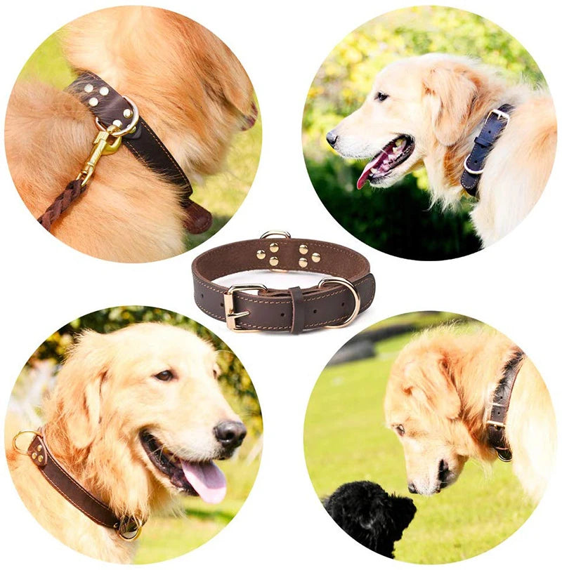 Hundhalsband Läder