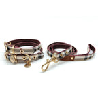 Hundhalsband Koppel Set
